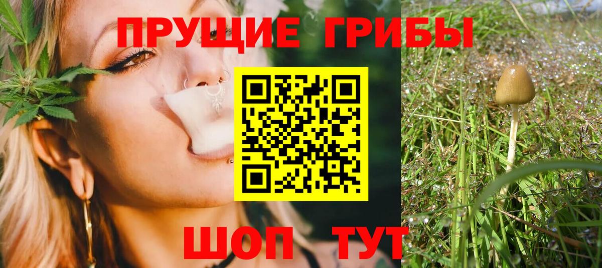 Галлюциногенные грибы Саяногорск