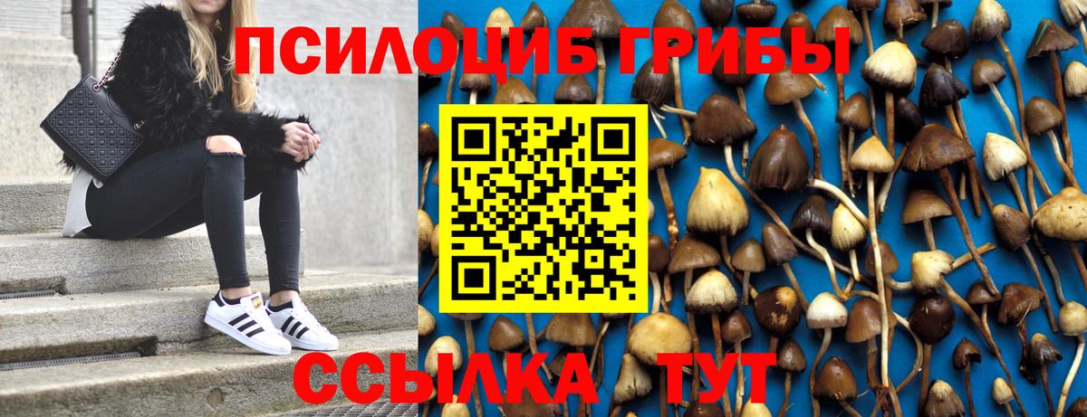 купить  цена  Вход с VPN  Саяногорск  Галлюциногенные грибы Psilocybine cubensis 