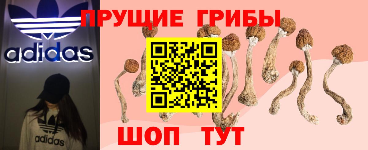 Псилоцибиновые грибы мицелий Саяногорск